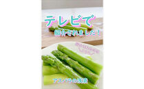 【3か月定期便】出雲漬物 季節の詰合せセット（1～3月）