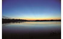 【３回定期便】ぷっくり大きな身！食べて美味しい！神西湖産大和しじみ