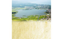 【３回定期便】ぷっくり大きな身！食べて美味しい！神西湖産大和しじみ