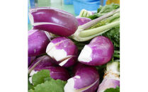 【3か月定期便】出雲漬物 季節の詰合せセット（10～12月）