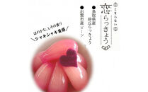 【3か月定期便】出雲漬物 季節の詰合せセット（10～12月）