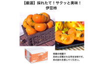 【定期便】【柿専業の農家が作る】3種の採れたて柿とスイーツセット