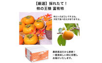 【定期便】【柿専業の農家が作る】3種の採れたて柿とスイーツセット