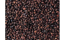 【定期便3回】発芽焙煎出雲はとむぎ茶(24本）&nbsp;を毎月お届け！