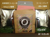 【定期便3回】珈琲バッグ3種×2個＆珈琲豆180ｇ×2袋を毎月お届け！