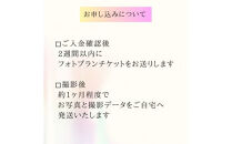 ライフフォトプラン