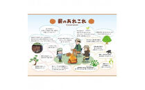 【定期便3回】出雲の薪屋「多木々」 定期便（3箱約54kgを3回お届けします)