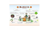 【定期便3回】出雲の薪屋「多木々」　 定期便（1箱約18kgを3回お届けします)