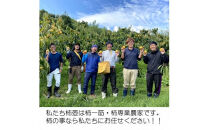 【柿専業の農家が作る】出雲産西条柿　5kg