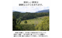 【柿専業の農家が作る】出雲産西条柿　5kg