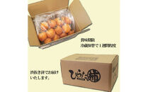 島根県出雲市産　【訳有】ひらたの柿　大玉西条柿（渋抜き済）