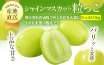 【2026年7月下旬以降発送】いずもぶどう&nbsp;訳ありシャインマスカット（粒っこ）1kg見当&nbsp;新鮮&nbsp;甘い&nbsp;フルーツ&nbsp;果物