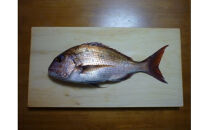 銀杏のまな板（特大、魚用）