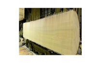 銀杏のまな板（特大、魚用）