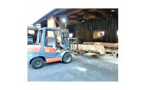 銀杏のまな板（特大、魚用）