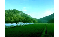 出雲市産きぬむすめ　&nbsp;5.5kg入り白米1袋