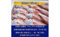 海の幸干物セットＢ