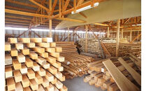 出雲大社ゆかりの縁起物　福こづち2号×2体