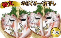 特大 のどぐろ　一夜干し2尾×2箱セット