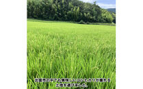 特別栽培米　出雲市産コシヒカリ　10&nbsp;ｋｇ