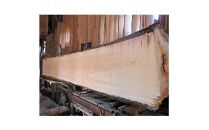 銀杏のまな板（クエ、マグロ用）