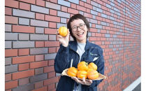 ひらたの柿　西条柿（渋抜き済）