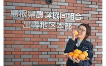 ひらたの柿　西条柿（渋抜き済）