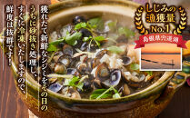 漁師直送！宍道湖産ヤマトシジミ・Mサイズ冷凍2.4kg