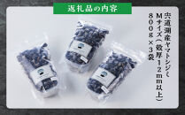 漁師直送！宍道湖産ヤマトシジミ・Mサイズ冷凍2.4kg