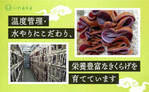 出雲市産生きくらげ