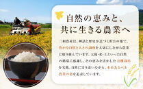 【冷凍】出雲からお届けする有機JAS認証　丸餅詰合せ「いずも美人」