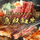 【和牛セレブ】鳥取和牛 定期便 「シルバークラス」（定期便６回）｜鳥取和牛 定期便 肉 お肉 にく焼肉 すき焼き しゃぶしゃぶ 食品 鳥取県産 人気 おすすめ 送料無料 ギフト 鳥取県 三朝町