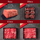 【和牛セレブ】鳥取和牛 定期便 「ダイアモンドクラス」（定期便12回）｜鳥取和牛 定期便 肉 お肉 にく焼肉 すき焼き しゃぶしゃぶ 食品 鳥取県産 人気 おすすめ 送料無料 ギフト 鳥取県 三朝町