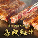 【和牛セレブ（3ヶ月定期便）】鳥取県産牛ヒレステーキ2枚×3か月間｜鳥取和牛 定期便 肉 お肉 にくステーキ 食品 鳥取県産 人気 おすすめ 送料無料 ギフト 鳥取県 三朝町