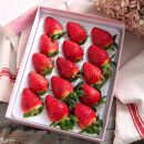 【先行予約】【ギフトBOX入り】大粒静岡いちご ギフトボックス入り（すず／おいCベリー 約500g・農園厳選） 冷蔵 苺 フルーツ◇