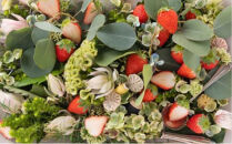 【先行予約】ふるさと納税限定 静岡いちご 食べ比べセット（すず＆おいCベリー／500g以上）冷蔵 苺 フルーツ◇