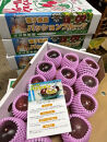種子島産 パッションフルーツ 約2kg（約20個前後）