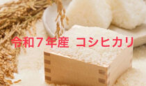 種子島産 日本一はやい収穫のコシヒカリ 5kg（令和7年産）