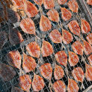 ヤマボシ水産　自家製干物セット&nbsp;倉沢の鯵天日干し&nbsp;200ｇ×6Ｐ□