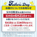 数量限定【2026年父の日までにお届け】鹿児島県産うなぎ長蒲焼2尾