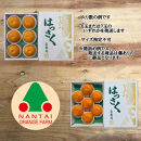 ちょっと&nbsp;傷あり&nbsp;木成完熟&nbsp;紅はっさく&nbsp;3L&nbsp;×&nbsp;6玉&nbsp;または&nbsp;2L&nbsp;×&nbsp;7玉&nbsp;サイズ&nbsp;化粧箱【2026年4月上旬～発送】