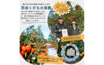 『2025年12月より順次発送』香川オリジナル品種「紅みかん(小原紅早生)」2.5kg[のしシール付き]