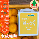 2箱セット&nbsp;ちょっと&nbsp;傷あり&nbsp;木成完熟&nbsp;紅はっさく&nbsp;2L&nbsp;～&nbsp;M&nbsp;(&nbsp;4玉&nbsp;～&nbsp;6玉&nbsp;)&nbsp;手さげ箱&nbsp;【2026年4月上旬～発送】