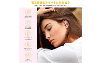 【ブラック】Bluetooth&nbsp;5.3&nbsp;IPX5&nbsp;防滴&nbsp;完全ワイヤレス&nbsp;ステレオイヤホン&nbsp;カナルタイプPG-BTE17TW