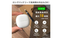 【ネイビー】Bluetooth&nbsp;5.3&nbsp;IPX5&nbsp;防滴&nbsp;完全ワイヤレス&nbsp;ステレオイヤホン&nbsp;カナルタイプPG-BTE17TW