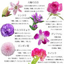 《敬老の日》フラワーアレンジメント 藤色エレガンス＜出荷開始：9/8～9/15までのお届け 当店おまかせ＞【 花 お祝い お礼 贈り物 メッセージカード 祖母 祖父 ギフト プレゼント 送料無料 ふるさと納税 門真市】