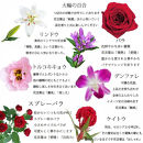 《敬老の日》フラワーアレンジメント 紅色グレイス＜出荷開始：9/8～9/15までのお届け 当店おまかせ＞【 花 お祝い お礼 贈り物 メッセージカード 祖母 祖父 ギフト プレゼント 送料無料 ふるさと納税 門真市】