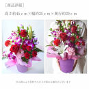 《敬老の日》フラワーアレンジメント 紅色グレイス＜出荷開始：9/8～9/15までのお届け 当店おまかせ＞【 花 お祝い お礼 贈り物 メッセージカード 祖母 祖父 ギフト プレゼント 送料無料 ふるさと納税 門真市】