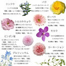 《敬老の日》フラワーアレンジメント 虹色マカロン＜出荷開始：9/8～9/15までのお届け 当店おまかせ＞【 花 お祝い お礼 贈り物 メッセージカード 祖母 祖父 ギフト プレゼント 送料無料 ふるさと納税 門真市】