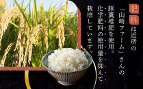 【先行予約】R7年産 白米 にじのきらめき10kg(5kg×2袋)